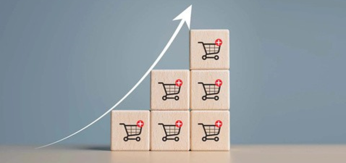 Dominios .org superan en ingresos de e-commerce a los .com