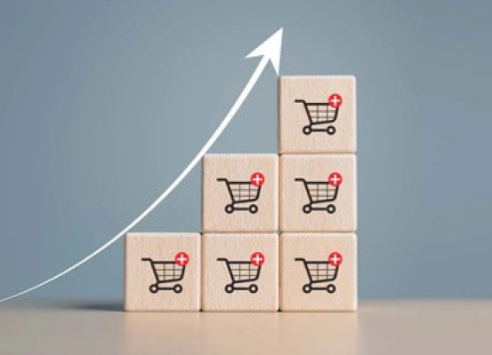 Dominios .org superan en ingresos de e-commerce a los .com