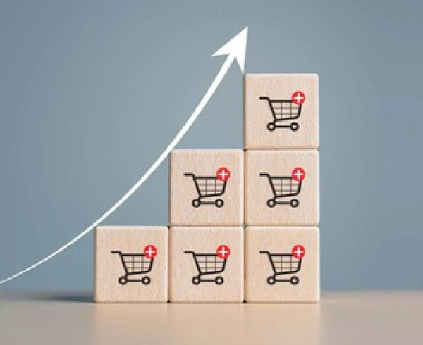 Dominios .org superan en ingresos de e-commerce a los .com